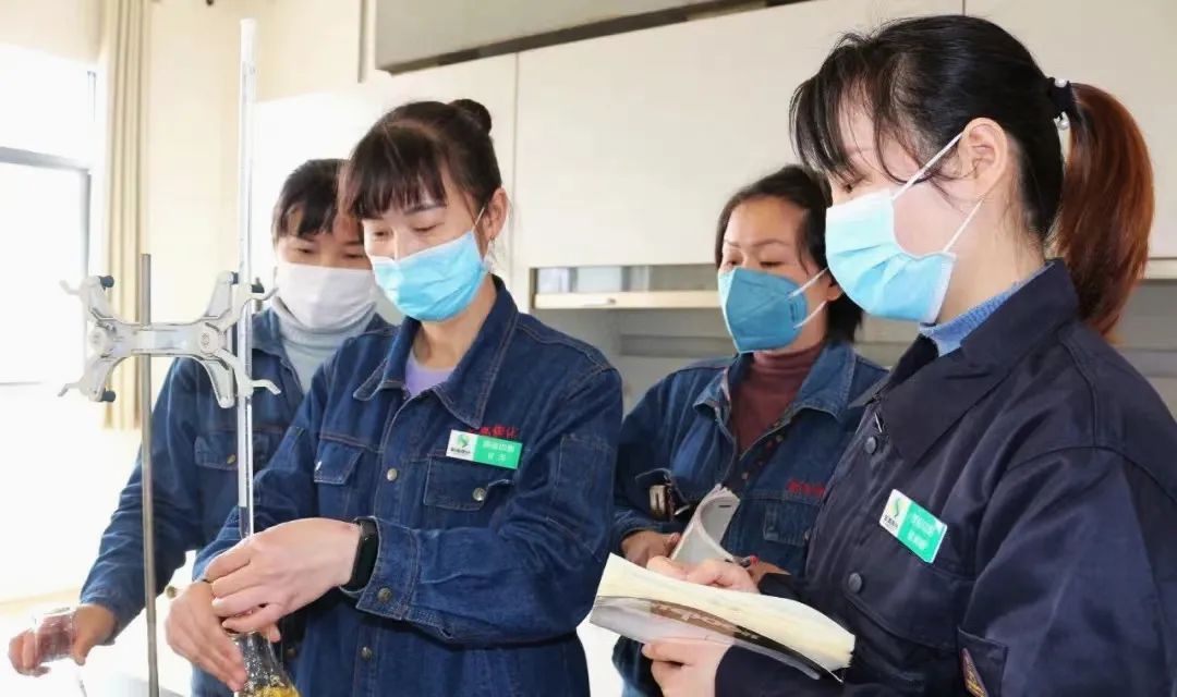 1669616911310474.jpg 3.jpg